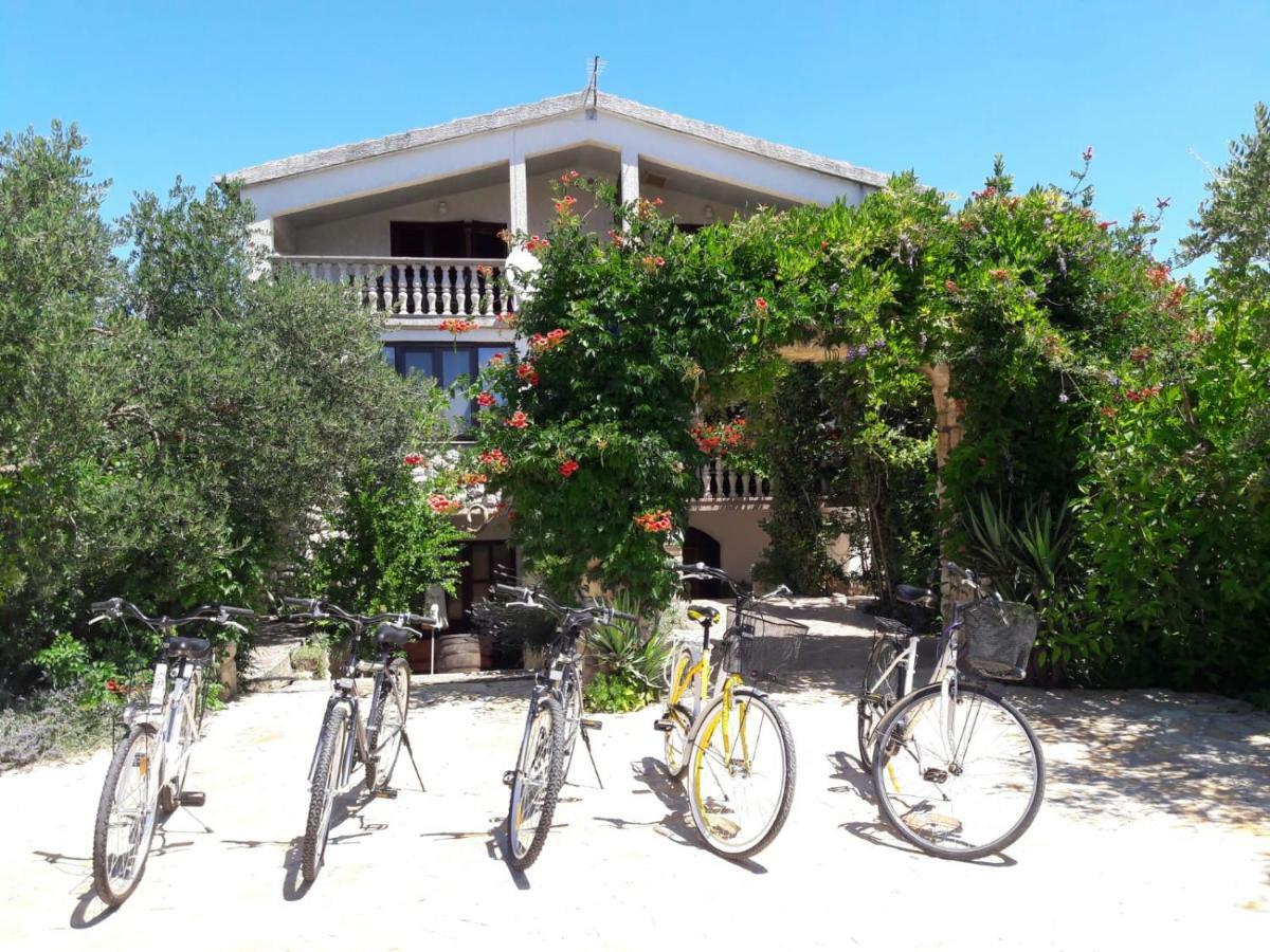 Marnika Biograd Na Moru