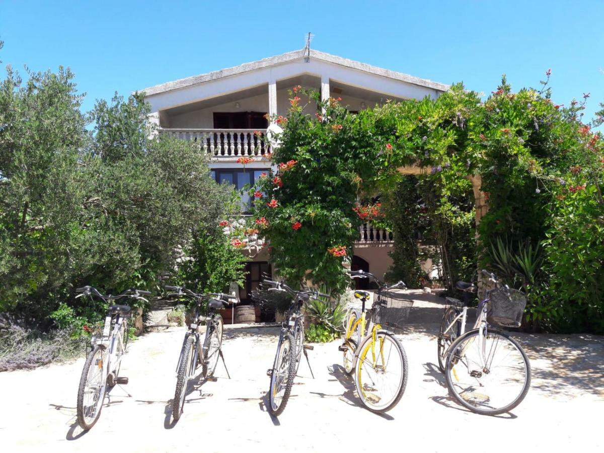 Marinka Apartamento *
